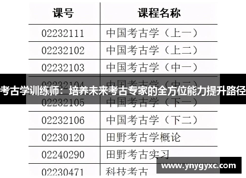 考古学训练师：培养未来考古专家的全方位能力提升路径